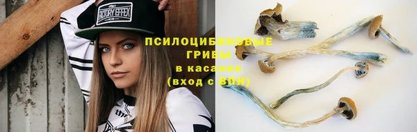 марки nbome Аркадак
