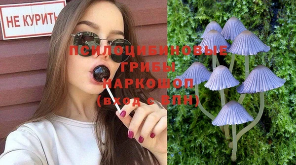 дурь Армянск