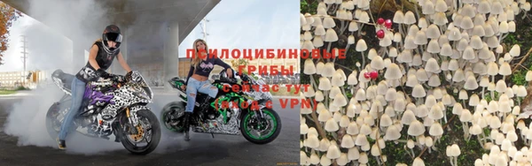 дживик Арсеньев